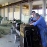 servis-sava
